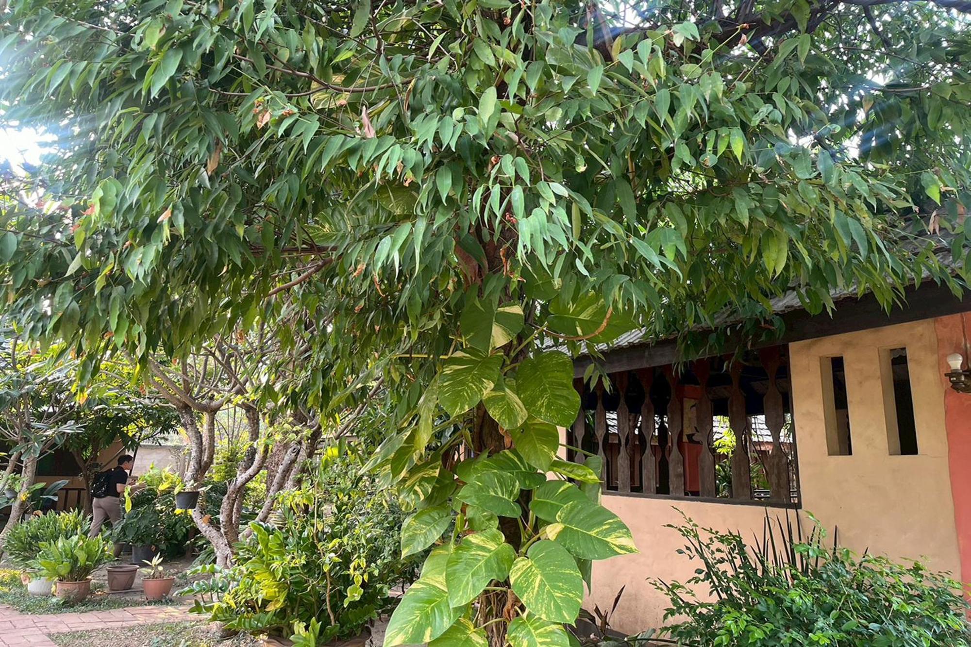 The Royal Shilton Chiang Mai
