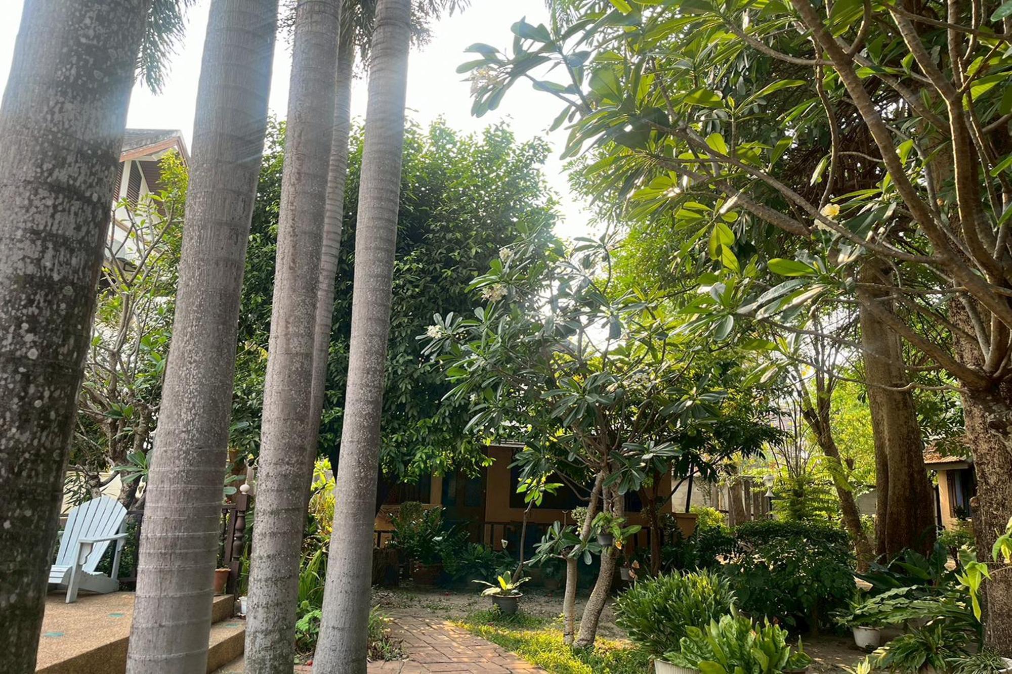 Resort The Royal Shilton 3*